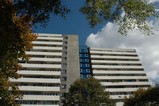 fot_127.jpg